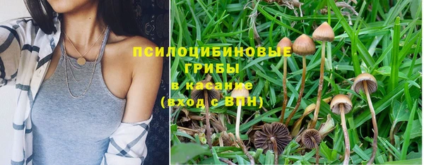 кокаин Богородицк