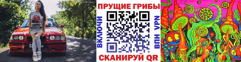 закладка Новосокольники Галлюциногенные грибы мухоморы